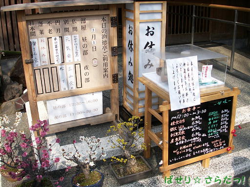 イメージ 6