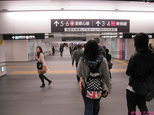 イメージ 6