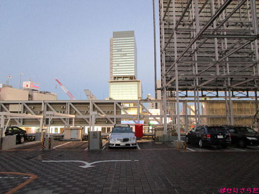 イメージ 5