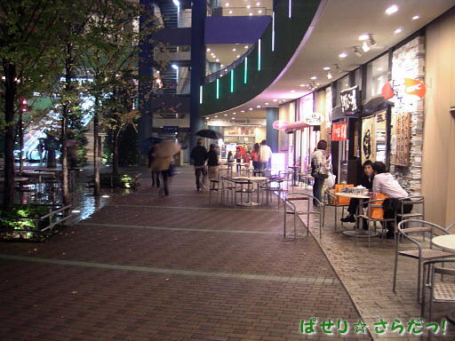 イメージ 5