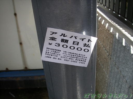 イメージ 6
