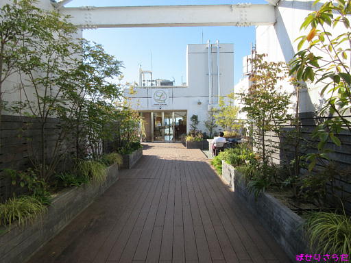 イメージ 5
