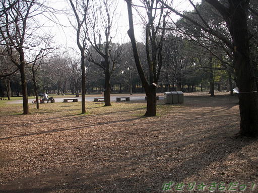 イメージ 2