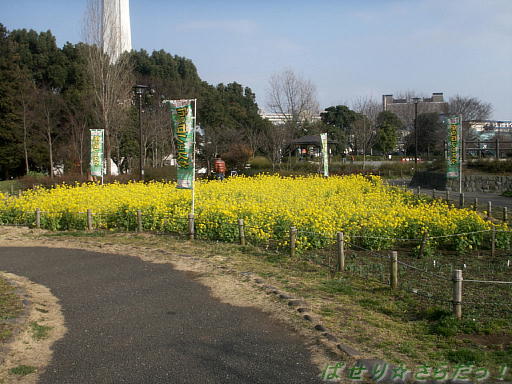 イメージ 6