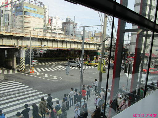 イメージ 6