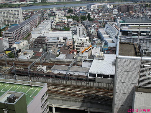 イメージ 3