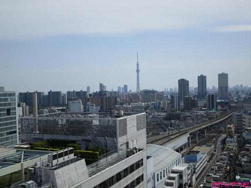 イメージ 4