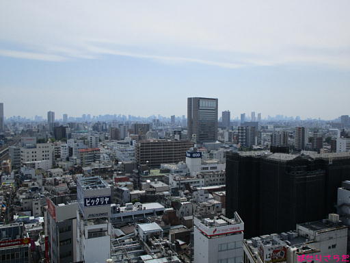 イメージ 6
