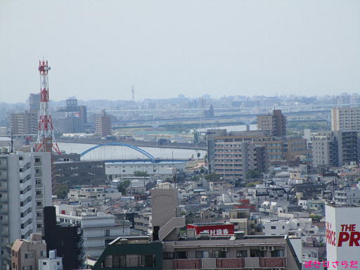 イメージ 8