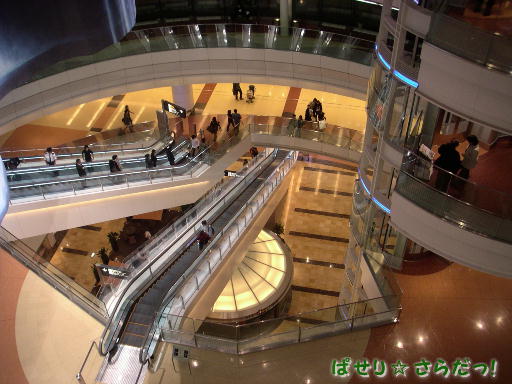 イメージ 5