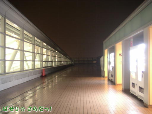 イメージ 6