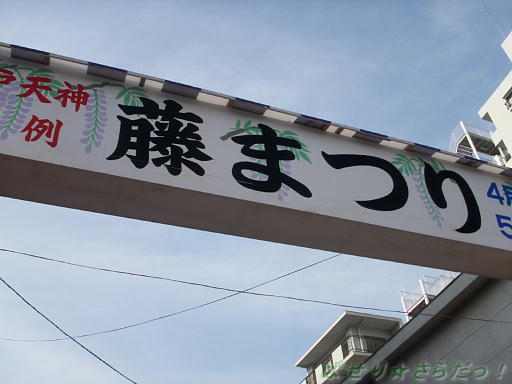 イメージ 6