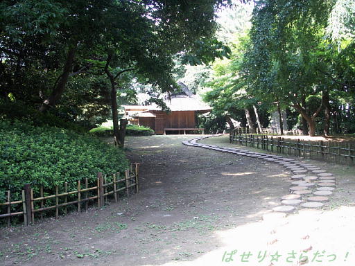 イメージ 5