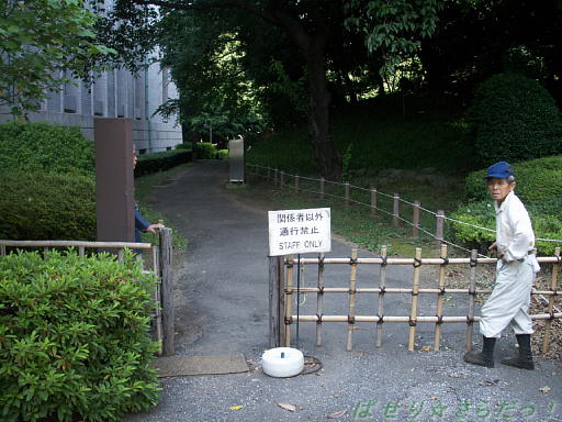 イメージ 6