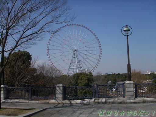 イメージ 5