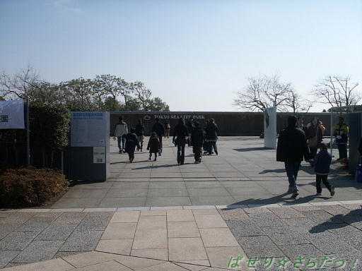 イメージ 6