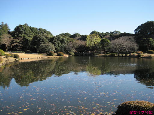 イメージ 3