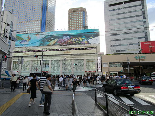 イメージ 5