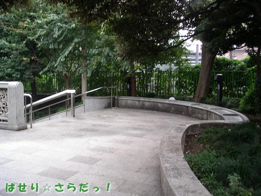イメージ 4