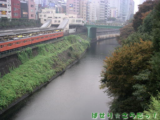 イメージ 6
