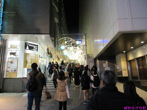 イメージ 6