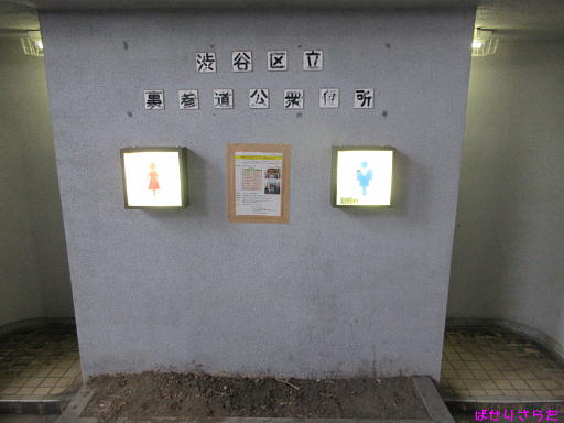 イメージ 3