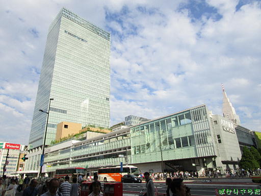 イメージ 5