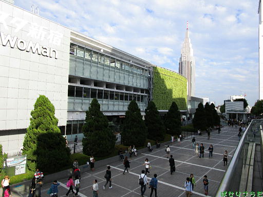 イメージ 10