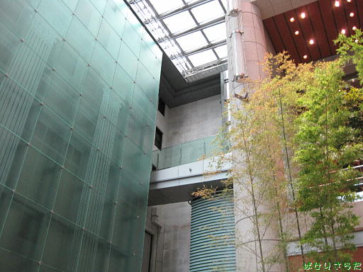 イメージ 6
