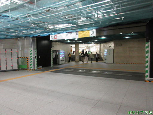 イメージ 7