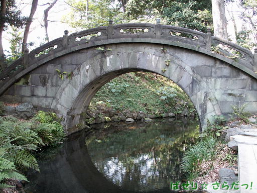 イメージ 6
