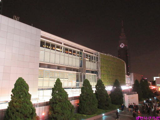 イメージ 8