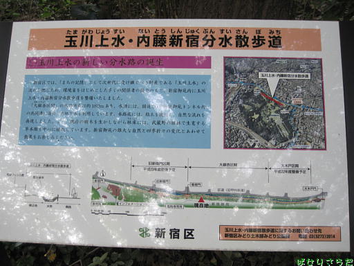 イメージ 7