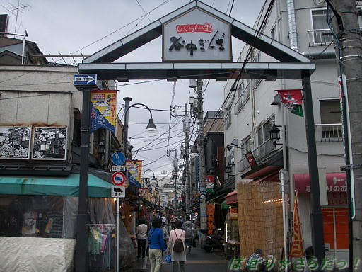 イメージ 5