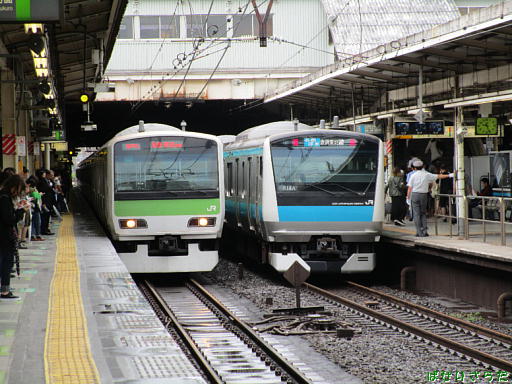 イメージ 6