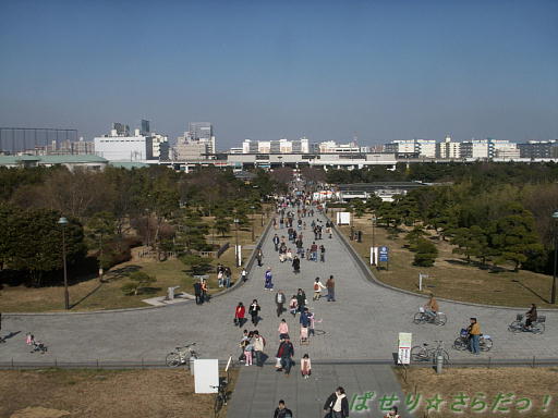 イメージ 3