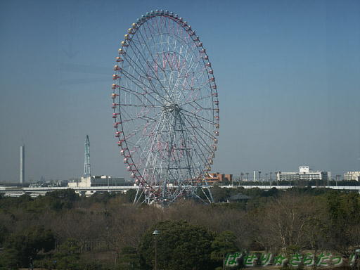 イメージ 6