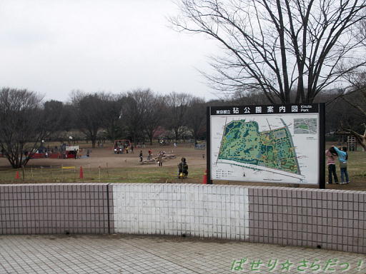 イメージ 6