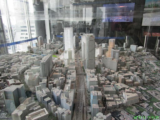 イメージ 8