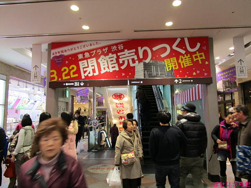 イメージ 6