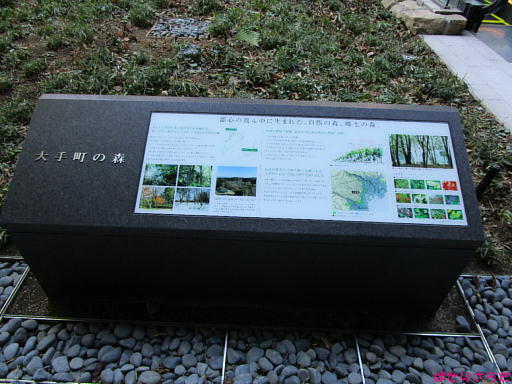 イメージ 5