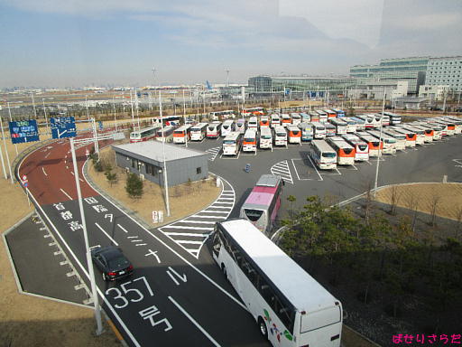 イメージ 6