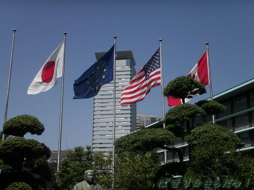 イメージ 6