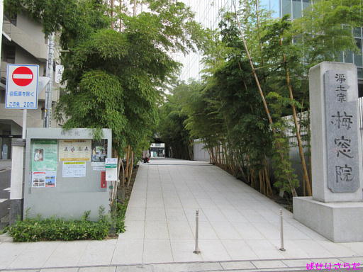 イメージ 5