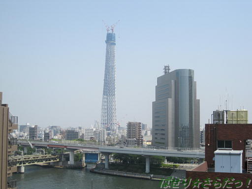 イメージ 4