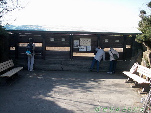 イメージ 4