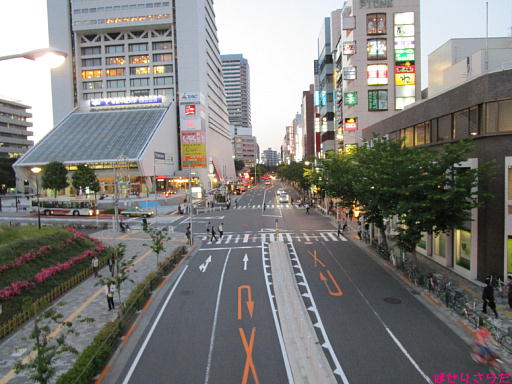 イメージ 6