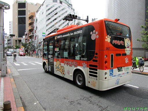 イメージ 6