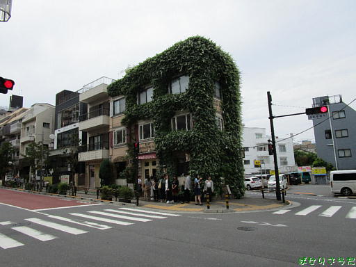 イメージ 7