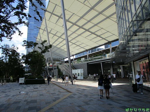 イメージ 7